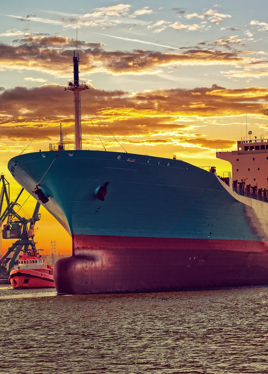 ship_home.webp